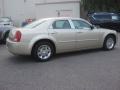 Linen Gold Metallic - 300 Touring Photo No. 4