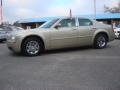 Linen Gold Metallic - 300 Touring Photo No. 6