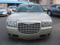 Linen Gold Metallic - 300 Touring Photo No. 8