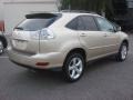 Savannah Beige Metallic - RX 330 AWD Photo No. 4
