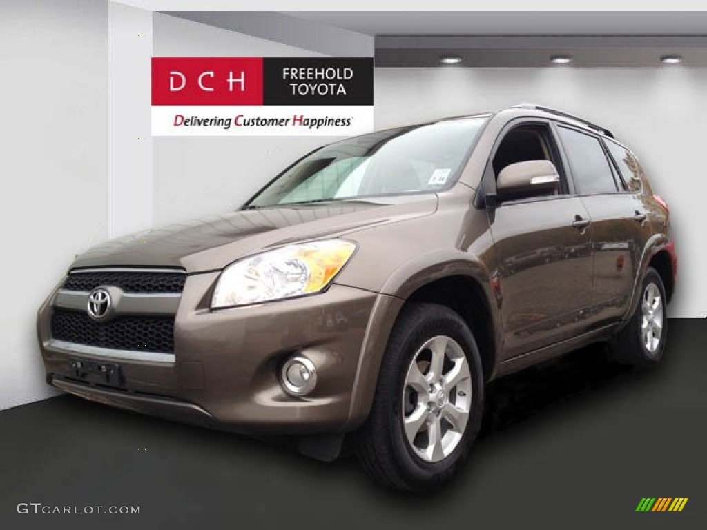 2010 RAV4 Limited 4WD - Pyrite Metallic / Sand Beige photo #1