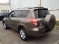 2010 Pyrite Metallic Toyota RAV4 Limited 4WD  photo #4