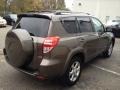 2010 Pyrite Metallic Toyota RAV4 Limited 4WD  photo #6