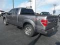 2010 Sterling Grey Metallic Ford F150 FX2 SuperCab  photo #5