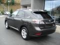 Truffle Brown Mica - RX 350 AWD Photo No. 7