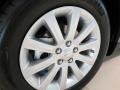 Tungsten Metallic - 200 Limited Sedan Photo No. 5