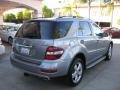 2010 Palladium Silver Metallic Mercedes-Benz ML 350  photo #2