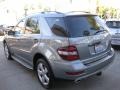 Palladium Silver Metallic - ML 350 Photo No. 7