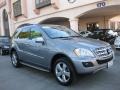 2010 Palladium Silver Metallic Mercedes-Benz ML 350  photo #27