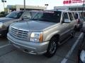 Quicksilver - Escalade AWD Photo No. 1