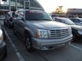 Quicksilver - Escalade AWD Photo No. 2
