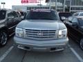 Quicksilver - Escalade AWD Photo No. 5