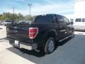2013 Tuxedo Black Metallic Ford F150 XLT SuperCrew  photo #10