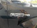 2013 Tuxedo Black Metallic Ford F150 XLT SuperCrew  photo #15