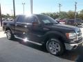 2013 Tuxedo Black Metallic Ford F150 XLT SuperCrew  photo #18