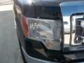 2013 Tuxedo Black Metallic Ford F150 XLT SuperCrew  photo #20