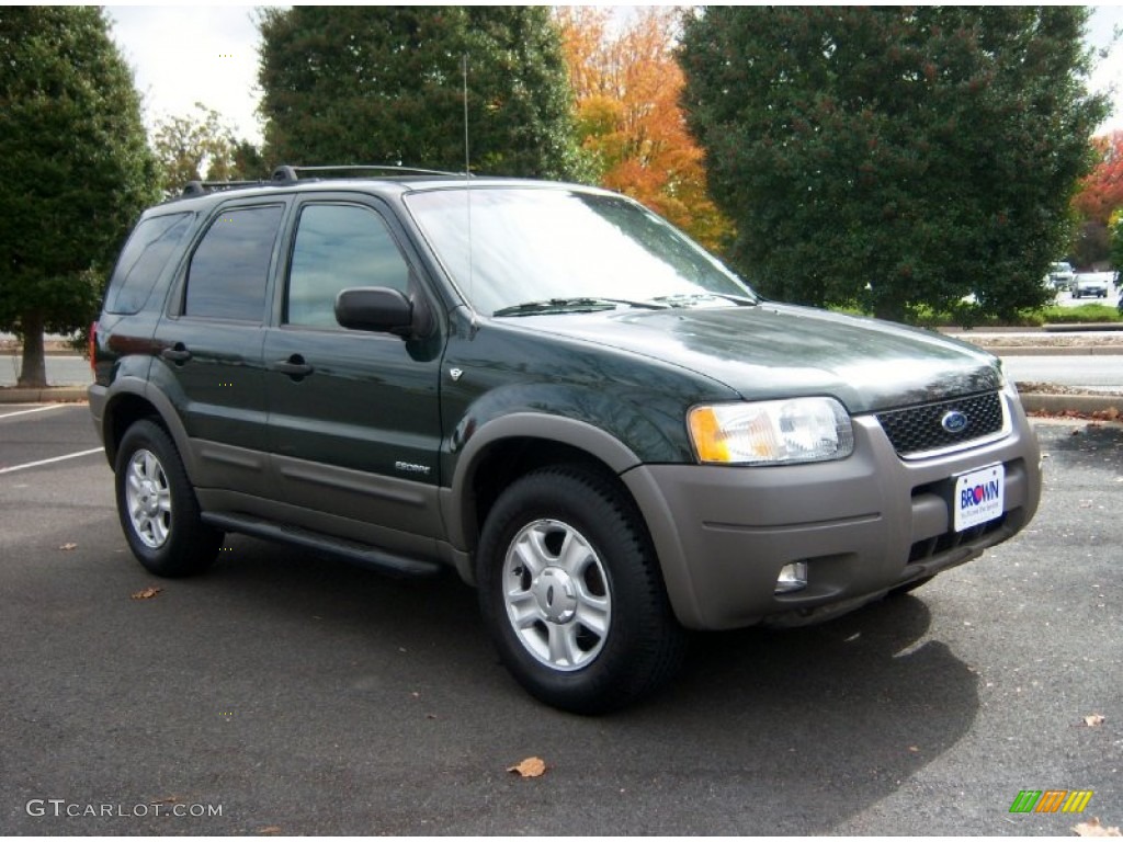 2002 Escape XLT V6 4WD - Dark Highland Green Metallic / Medium Parchment photo #1