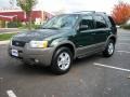 Dark Highland Green Metallic - Escape XLT V6 4WD Photo No. 3