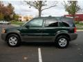 Dark Highland Green Metallic 2002 Ford Escape XLT V6 4WD Exterior