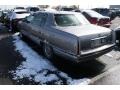 Light Driftwood Metallic - DeVille Sedan Photo No. 3