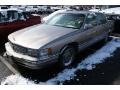 Light Driftwood Metallic - DeVille Sedan Photo No. 4