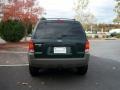 2002 Dark Highland Green Metallic Ford Escape XLT V6 4WD  photo #6