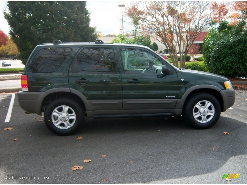 Dark Highland Green Metallic 2002 Ford Escape XLT V6 4WD Exterior Photo #72832833
