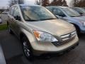 2007 Borrego Beige Metallic Honda CR-V EX 4WD  photo #1