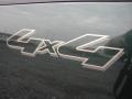 2004 Aspen Green Metallic Ford F150 XLT SuperCab 4x4  photo #31