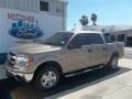 2013 Pale Adobe Metallic Ford F150 XLT SuperCrew  photo #1