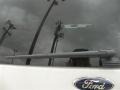 White Platinum Tri-Coat - Expedition EL Limited 4x4 Photo No. 10