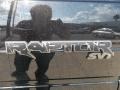 2013 Tuxedo Black Metallic Ford F150 SVT Raptor SuperCrew 4x4  photo #10