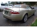 Winter Gold Metallic - XK XK8 Convertible Photo No. 6