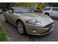 Winter Gold Metallic - XK XK8 Convertible Photo No. 7