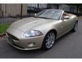 Winter Gold Metallic - XK XK8 Convertible Photo No. 23