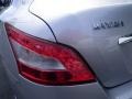 Radiant Silver Metallic - Maxima 3.5 S Photo No. 15
