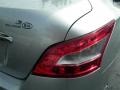 Radiant Silver Metallic - Maxima 3.5 S Photo No. 19