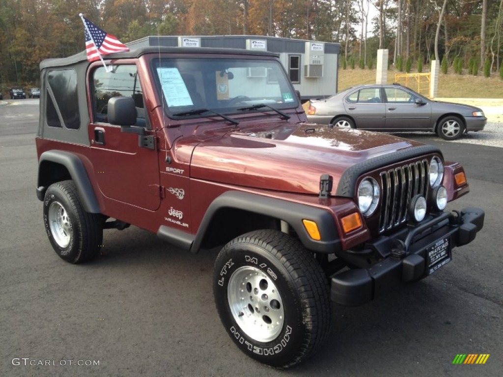 2004 Wrangler Sport 4x4 - Sienna Pearl / Dark Slate Gray photo #3