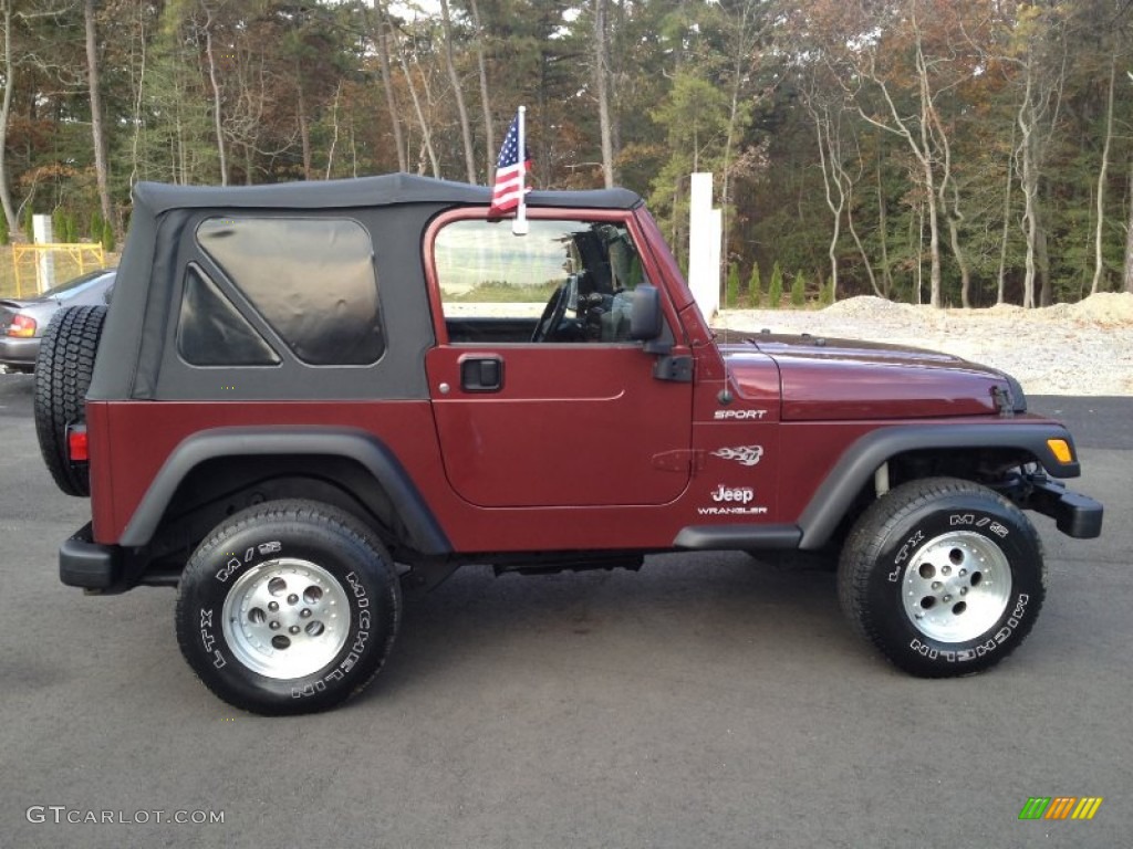 2004 Wrangler Sport 4x4 - Sienna Pearl / Dark Slate Gray photo #5