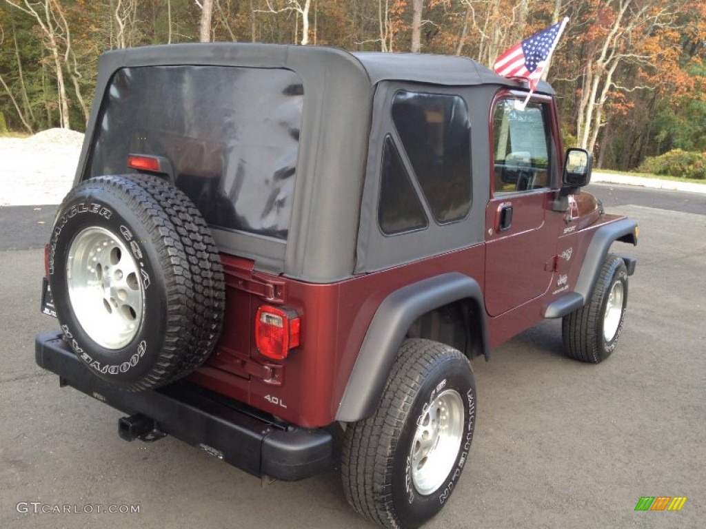 2004 Wrangler Sport 4x4 - Sienna Pearl / Dark Slate Gray photo #7