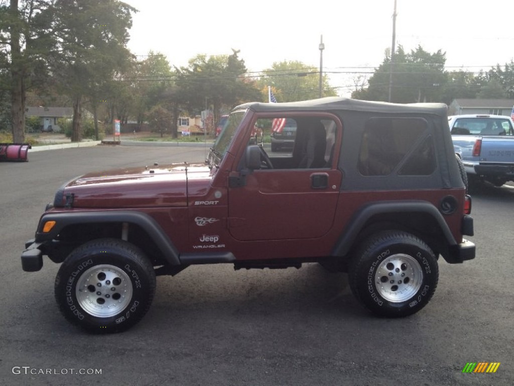 2004 Wrangler Sport 4x4 - Sienna Pearl / Dark Slate Gray photo #12