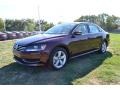 Opera Red Metallic - Passat 2.5L SE Photo No. 1