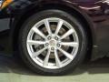Malbec Black - G 37 Convertible Photo No. 33