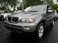 Sterling Grey Metallic - X5 3.0i Photo No. 9