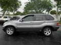 Sterling Grey Metallic - X5 3.0i Photo No. 10