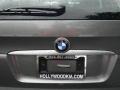 Sterling Grey Metallic - X5 3.0i Photo No. 15