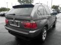 Sterling Grey Metallic - X5 3.0i Photo No. 18