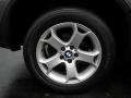 Sterling Grey Metallic - X5 3.0i Photo No. 46