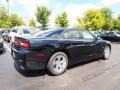 2013 Pitch Black Dodge Charger R/T Plus  photo #3