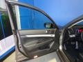 Platinum Graphite - G 37 x S Sedan Photo No. 11